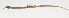  ( - AUST-128)  @11 [ ] CreativeCommons  Attribution Non-Commercial (by-nc) (2013) Unspecified Smithsonian Institution National Museum of Natural History