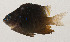  ( - AUST-220)  @11 [ ] CreativeCommons  Attribution Non-Commercial (by-nc) (2013) Unspecified Smithsonian Institution National Museum of Natural History