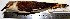 (Cinclodes palliatus - MUSM-Orn-00465)  @11 [ ] CreativeCommons - Attribution Non-Commercial Share-Alike (2017) Unspecified Universidad Nacional Mayor de San Marcos, Museo de Historia Natural