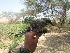  ( - MUSM-Orn-03209)  @11 [ ] CreativeCommons - Attribution Non-Commercial Share-Alike (2018) MHN-UNMSM Universidad Nacional Mayor de San Marcos, Museo de Historia Natural