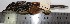  ( - MUSM-Orn-07713)  @11 [ ] CreativeCommons - Attribution Non-Commercial Share-Alike (2017) Unspecified Universidad Nacional Mayor de San Marcos, Museo de Historia Natural