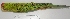  (Psittacara frontatus - MUSM-Orn-32365)  @11 [ ] CreativeCommons - Attribution Non-Commercial Share-Alike (2017) Unspecified Universidad Nacional Mayor de San Marcos, Museo de Historia Natural