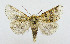  ( - AV-0069-Noct.)  @13 [ ] No Rights Reserved (2011) A.V. Volynkin Unspecified