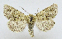  ( - AV-0070-Noct.)  @13 [ ] No Rights Reserved (2011) A.V. Volynkin Unspecified