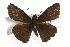  ( - JLB-0198)  @14 [ ] CreativeCommons - Attribution (2009) Unspecified Centre for Biodiversity Genomics