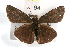  ( - JLB-0199)  @13 [ ] CreativeCommons - Attribution (2009) Unspecified Centre for Biodiversity Genomics