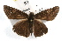  ( - JLB-0200)  @13 [ ] CreativeCommons - Attribution (2009) Unspecified Centre for Biodiversity Genomics