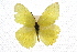  ( - JLB-0221)  @11 [ ] CreativeCommons - Attribution (2009) Unspecified Centre for Biodiversity Genomics