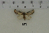  ( - AWC-01278)  @12 [ ] Unspecified (default): All Rights Reserved  Unspecified Unspecified