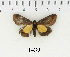  ( - AWC-01439)  @13 [ ] Unspecified (default): All Rights Reserved  Unspecified Unspecified
