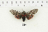  ( - AWC-01517)  @12 [ ] Unspecified (default): All Rights Reserved  Unspecified Unspecified