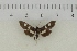  ( - AWC-01780)  @12 [ ] Unspecified (default): All Rights Reserved  Unspecified Unspecified
