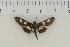  ( - AWC-01782)  @13 [ ] Unspecified (default): All Rights Reserved  Unspecified Unspecified