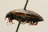  ( - 09PROBE-02518)  @12 [ ] CreativeCommons - Attribution (2009) Unspecified Centre for Biodiversity Genomics