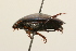  ( - 09PROBE-02532)  @12 [ ] CreativeCommons - Attribution (2009) Unspecified Centre for Biodiversity Genomics