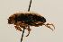  ( - 09PROBE-02549)  @13 [ ] CreativeCommons - Attribution (2009) Unspecified Centre for Biodiversity Genomics