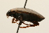  ( - 09PROBE-02552)  @13 [ ] CreativeCommons - Attribution (2009) Unspecified Centre for Biodiversity Genomics