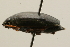  ( - 09-PROBE-02554)  @13 [ ] CreativeCommons - Attribution (2009) Unspecified Centre for Biodiversity Genomics