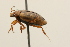  ( - 09PROBE-02562)  @13 [ ] CreativeCommons - Attribution (2009) Unspecified Centre for Biodiversity Genomics