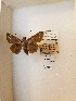  ( - LEP-79295)  @11 [ ] No Rights Reserved  Unspecified Unspecified