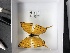  (Marpesia harmonia - LEP-78397)  @11 [ ] No Rights Reserved  Unspecified Unspecified