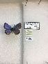  ( - LEP-79233)  @12 [ ] No Rights Reserved  Unspecified Unspecified