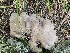  ( - MO491028)  @11 [ ] CreativeCommons  Attribution Non-Commercial Share-Alike (2019) Unspecified AMS