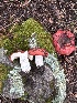  (Russula sp. TAC674 - MO553400)  @11 [ ] CreativeCommons - Attribution Share-Alike (2024) Unspecified Arizona Mushroom Society