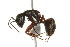  ( - CHU06-ANT-021)  @14 [ ] Unspecified (default): All Rights Reserved  Unspecified Unspecified