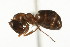  ( - CHU06-ANT-035)  @14 [ ] Unspecified (default): All Rights Reserved  Unspecified Unspecified
