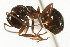  ( - CHU06-ANT-063)  @14 [ ] Unspecified (default): All Rights Reserved  Unspecified Unspecified