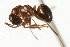  ( - CHU06-ANT-064)  @14 [ ] Unspecified (default): All Rights Reserved  Unspecified Unspecified