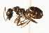  ( - CHU06-ANT-065)  @14 [ ] Unspecified (default): All Rights Reserved  Unspecified Unspecified
