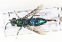  ( - DF020)  @11 [ ] Copyright (2021) David Froehlich Karl-Franzens University of Graz, Dept of Zoology