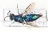  ( - DF021)  @11 [ ] Copyright (2021) David Froehlich Karl-Franzens University of Graz, Dept of Zoology