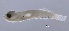  ( - BACQ-49)  @14 [ ] CreativeCommons - Attribution Non-Commercial Share-Alike (2015) Martha Valdez-Moreno El Colegio de la Frontera Sur