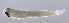  ( - BACQ-58)  @14 [ ] CreativeCommons - Attribution Non-Commercial Share-Alike (2015) Martha Valdez-Moreno El Colegio de la Frontera Sur