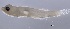  ( - BACQ-63)  @14 [ ] CreativeCommons - Attribution Non-Commercial Share-Alike (2015) Martha Valdez-Moreno El Colegio de la Frontera Sur