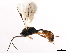  ( - 06-PROBE-1443)  @13 [ ] CreativeCommons - Attribution (2010) Unspecified Centre for Biodiversity Genomics