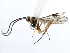  ( - 06-PROBE-1499)  @12 [ ] CreativeCommons - Attribution (2010) Unspecified Centre for Biodiversity Genomics