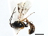  (Probles sp. MAS BIN87 - 06-PROBE-1529)  @13 [ ] CreativeCommons - Attribution (2010) Unspecified Centre for Biodiversity Genomics