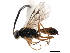  ( - 06-PROBE-3191)  @14 [ ] CreativeCommons - Attribution (2010) Unspecified Centre for Biodiversity Genomics