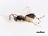  ( - 06-PROBE-3196)  @13 [ ] CreativeCommons - Attribution (2010) Unspecified Centre for Biodiversity Genomics