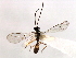  ( - 06-PROBE-3472)  @12 [ ] CreativeCommons - Attribution (2010) Unspecified Centre for Biodiversity Genomics