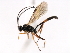  ( - 06-PROBE-3482)  @12 [ ] CreativeCommons - Attribution (2010) Unspecified Centre for Biodiversity Genomics