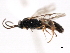  ( - 06-PROBE-3503)  @12 [ ] CreativeCommons - Attribution (2010) Unspecified Centre for Biodiversity Genomics