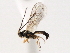  ( - 06-PROBE-3580)  @13 [ ] CreativeCommons - Attribution (2010) Unspecified Centre for Biodiversity Genomics