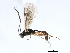  ( - 06-PROBE-3594)  @13 [ ] CreativeCommons - Attribution (2010) Unspecified Centre for Biodiversity Genomics