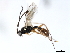  ( - 06-PROBE-3599)  @12 [ ] CreativeCommons - Attribution (2010) Unspecified Centre for Biodiversity Genomics