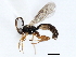  ( - 06-PROBE-3600)  @14 [ ] CreativeCommons - Attribution (2010) Unspecified Centre for Biodiversity Genomics